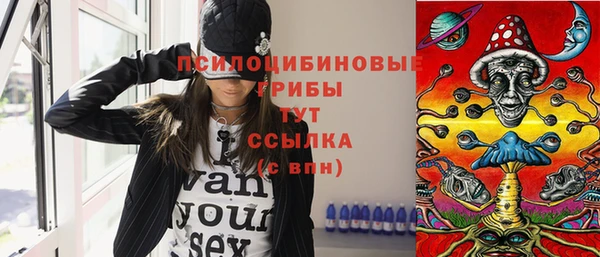 сатива Алзамай