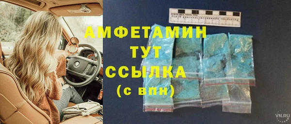 СК Алексин