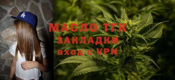 СК Алексин