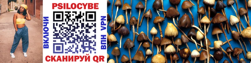 Купить закладки Коркино Псилоцибиновые грибы Psilocybe